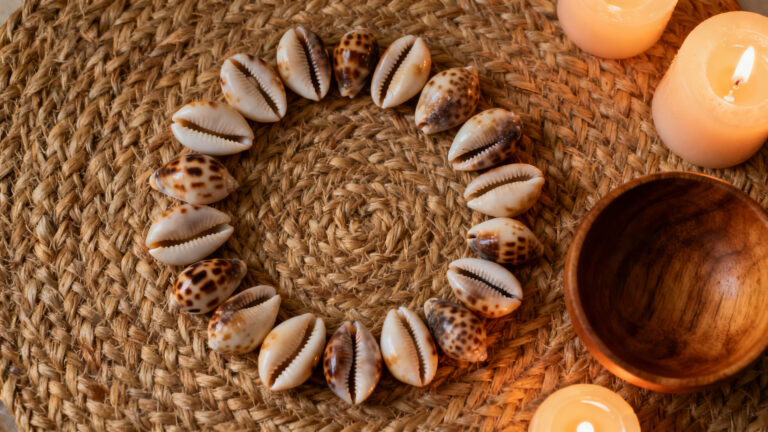 adivinacion con conchas cauri paso a paso guia facil para principiantes lectura y significados